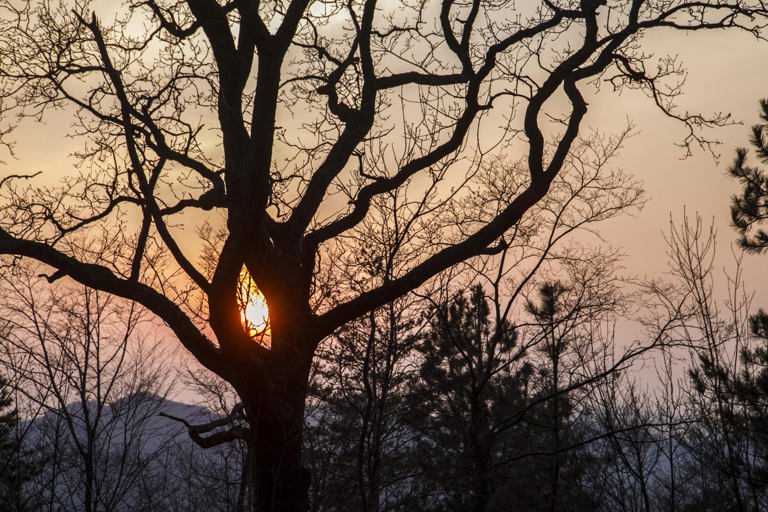 Priprave na praznike in praznovanje božiča